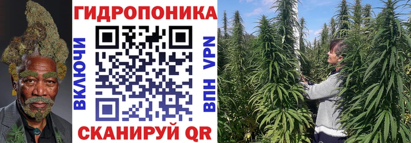 Бошки Шишки LSD WEED дарнет шоп ОМГ ОМГ маркетплейс Кизилюрт